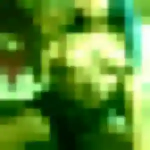 Jolie Sophie, 30 ans à Saint-André-des-Eaux - voir sa photo