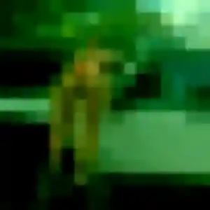 Alix de Saint-André-lez-Lille, 24 ans - plan cul sans prise de tête