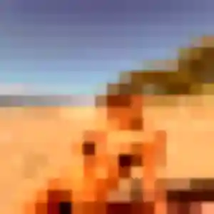 Photo perso de Maelys, 30 ans à Saint-Arnoult-en-Yvelines - rencontre sans lendemain