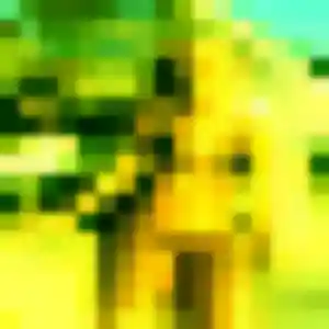 Apolline, 41 ans, connectée à Saint-Brieuc pour une rencontre coquine