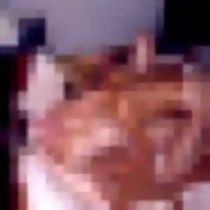 Profil de Natacha à Saint-Brieuc (36 ans) - plan cul anonyme