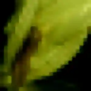 Photo sexy de Sara, 40 ans à Saint-Chamond - plan discret