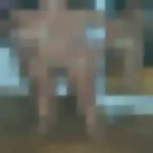 Profil de Sonia à Saint-Claude (24 ans) - plan cul sans inscription