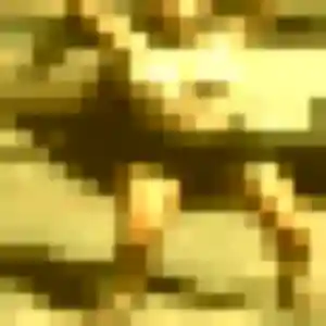 Audrey (33 ans) à Saint-Cyprien attend une rencontre maintenant