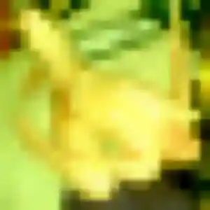 Cecile, 34 ans, disponible à Saint-Cyprien pour une rencontre coquine