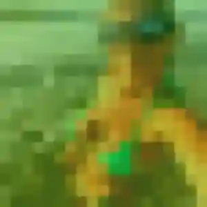 Photo de Dorothee à Saint-Cyr-au-Mont-d'Or (43 ans) - plan cul sans inscription