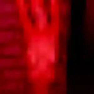 Rencontre Dina, 36 ans à Saint-Cyr-l'École gratuitement