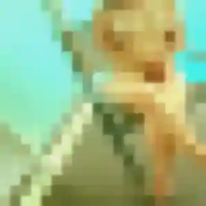 Profil de Tania à Saint-Cyr-sur-Loire (44 ans) - plan cul gratuit