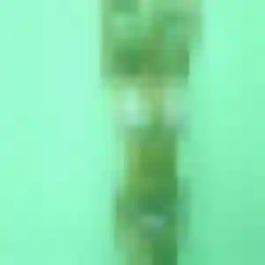 Photo de Virginie à Saint-Cyr-sur-Loire (25 ans) - plan cul gratuit