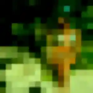 Charmante Faustine, 32 ans à Saint-Denis - découvrir son profil