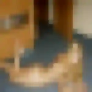 Alice (21 ans) à Saint-Denis-de-Pile attend une rencontre maintenant