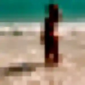 Profil de Fanny à Saint-Dizier (36 ans) - plan cul gratuit