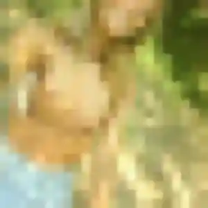 Heloise, 25 ans, dispo pour plan cul à Saint-Estève