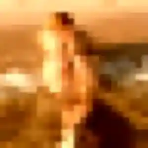 plan cul à Saint-Étienne-au-Mont : photo de Alix, 20 ans - accès libre