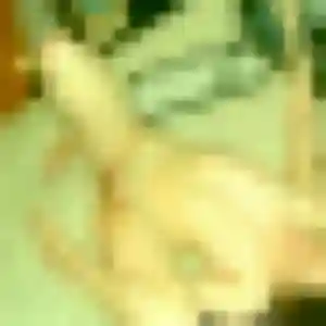 Photo de Dounia à Saint-Étienne-de-Montluc (21 ans) - plan cul discret