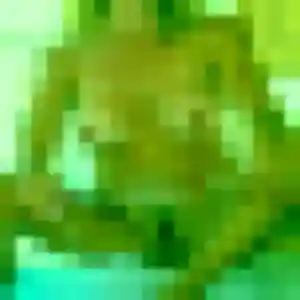 Rencontre Yasmina, 36 ans à Saint-Étienne-de-Montluc en privé