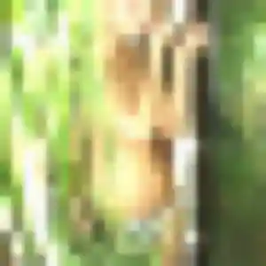 Samantha, 34 ans, veut un plan cul à Saint-Flour