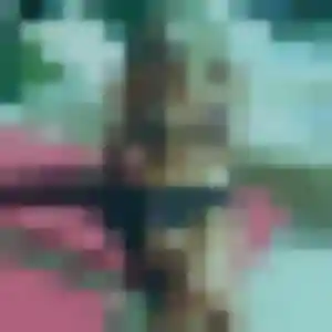 Philippine, femme de 44 ans veut plan cul à Saint-Genest-Lerpt