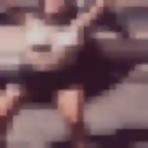 Photo de Isabella à Saint-Genis-les-Ollières (24 ans) - plan cul discret