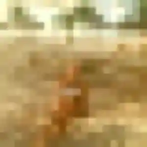 plan cul à Saint-Gervais-les-Bains : profil de Jihane, 27 ans - sans engagement