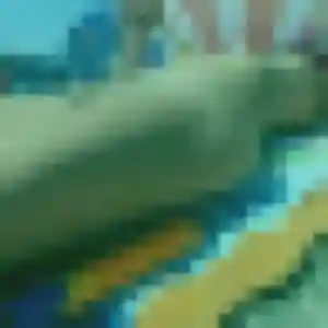 Albane, fille de 45 ans veut plan cul à Saint-Gilles-Croix-de-Vie