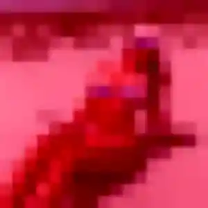 Profil de Valentina à Saint-Herblain (40 ans) - plan cul anonyme