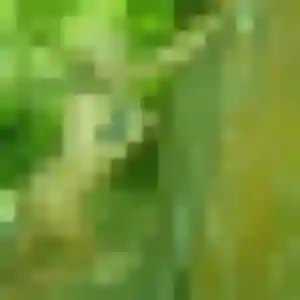 Yvonne de Saint-Hilaire-de-Riez, 30 ans - plan cul discret