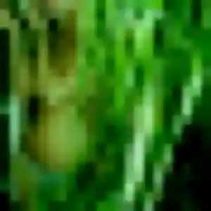 Photo exclusive de Eliane, 32 ans à Saint-Jean-de-Maurienne - plan discret