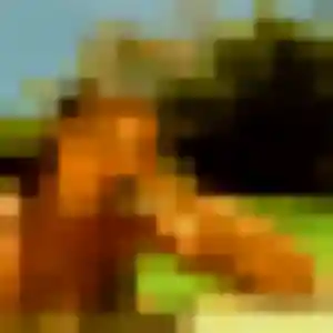 Photo perso de Clotilde, 37 ans à Saint-Julien-en-Genevois - rencontre sans lendemain