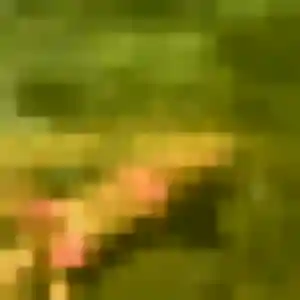 Leontine, femme de 41 ans veut plan cul à Saint-Junien