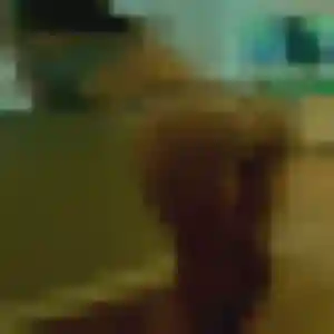 Mila, 45 ans, connectée à Saint-Laurent-de-la-Salanque pour une rencontre coquine