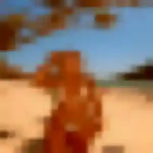 Rejoins Nora, 36 ans à Saint-Laurent-de-la-Salanque en t'inscrivant