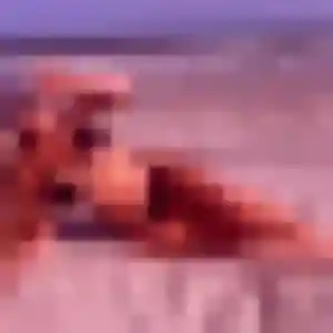 Kim, 22 ans, veut un plan cul à Saint-Laurent-du-Var