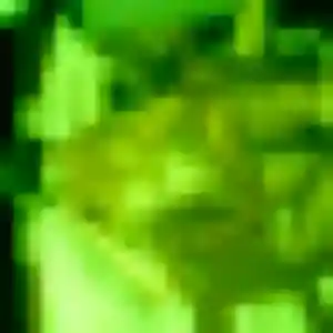 Anais de Saint-Martin-de-Seignanx, 33 ans - plan cul sans lendemain