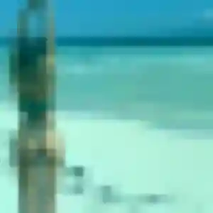 Rejoins Olga, 37 ans à Saint-Martin-la-Pallu en t'inscrivant