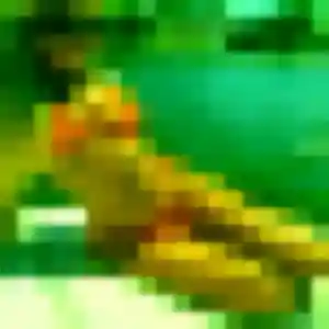 Ketty, 29 ans, dispo pour plan cul à Saint-Martin-lez-Tatinghem