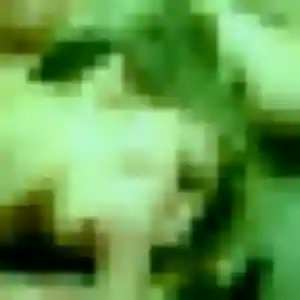 Découvre Christelle, 37 ans à Saint-Médard-en-Jalles en privé