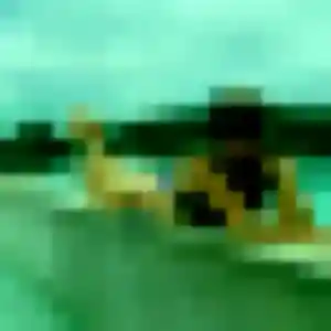 Charmante Eliane, 36 ans à Saint-Michel-Chef-Chef - découvrir son profil