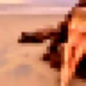 Isabelle, 39 ans, disponible à Saint-Michel-sur-Orge pour un plan cul