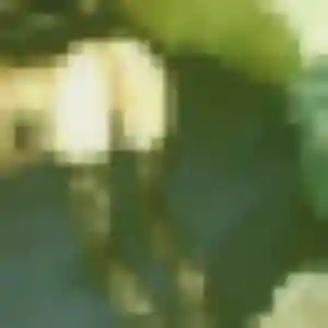 Emeraude, femme de 21 ans veut plan cul à Saint-Mitre-les-Remparts