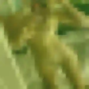 Armelle, 36 ans, disponible à Saint-Paul pour un plan cul