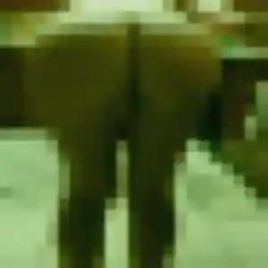 Nelly (32 ans) à Saint-Paul propose une rencontre rapidement