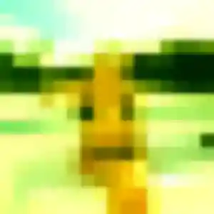 plan cul à Saint-Pée-sur-Nivelle : profil de Tiffany, 23 ans - sans engagement