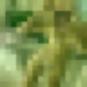 Jean-Marie (38 ans) à Saint-Philbert-de-Grand-Lieu propose une rencontre aujourd'hui