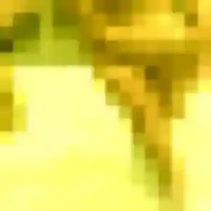 Contacte Nolwenn, 44 ans à Saint-Pierre-d'Oléron en t'inscrivant