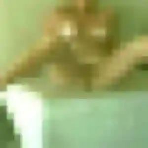 Urielle, 33 ans, veut un plan cul à Saint-Pierre-d'Oléron