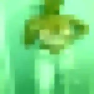 Profil de Gaelle à Saint-Pierre-du-Perray (32 ans) - plan cul gratuit