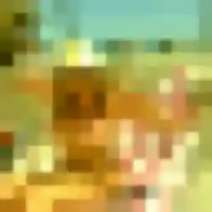 Belle Alicia, 45 ans à Saint-Pierre-en-Auge - la contacter