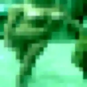 Photo perso de Juliette, 32 ans à Saint-Pierre-en-Auge - rencontre coquine