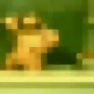 Contacte Ophelie, 26 ans à Saint-Pierre-lès-Nemours en t'inscrivant